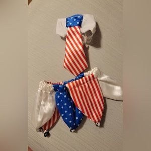 Patriotic outfit for small dog